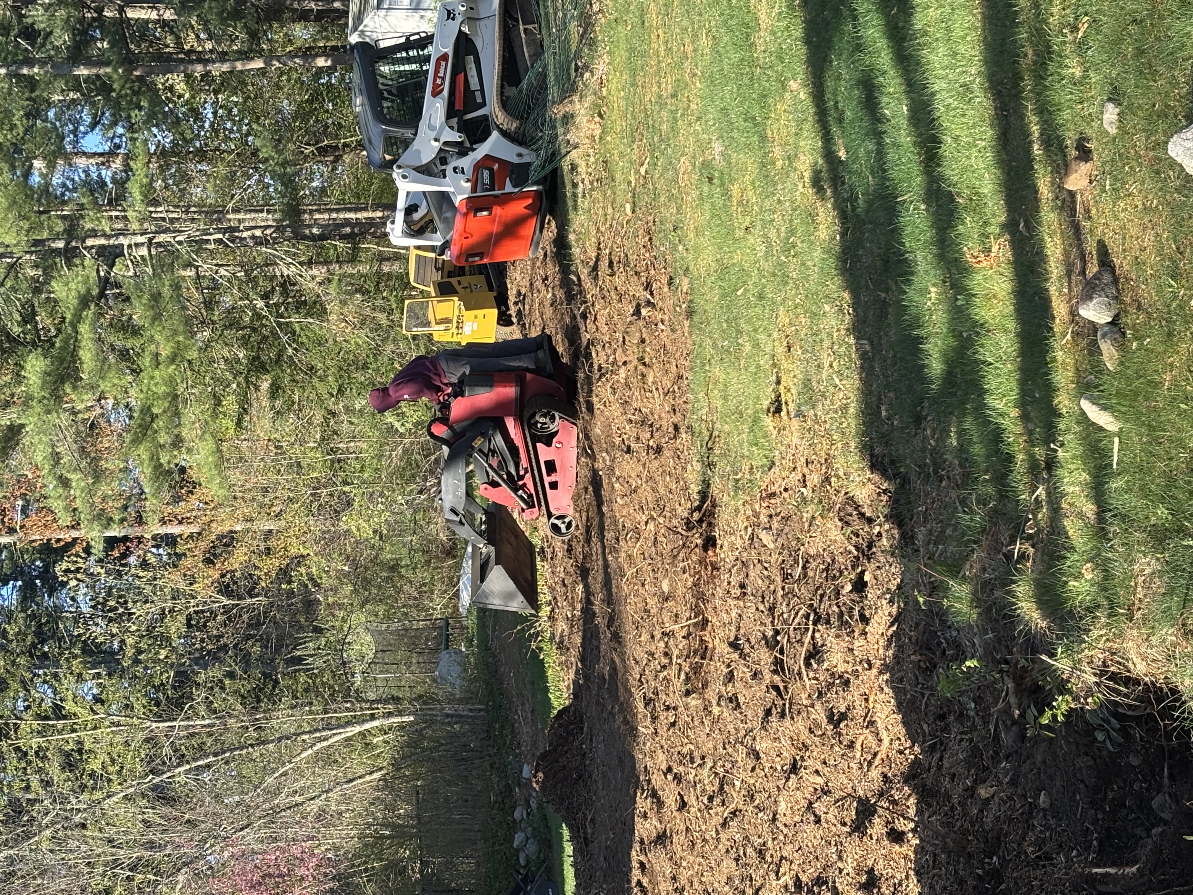 Scotts Tree and Landscape Inc Image