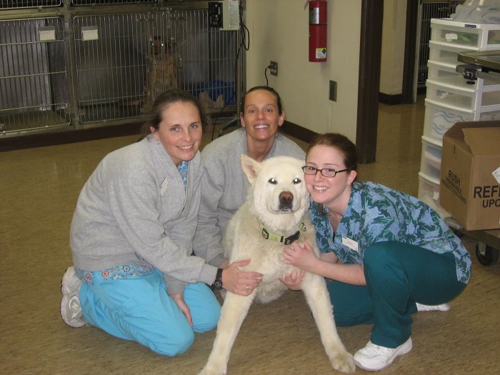 VCA Northside Animal Hospital Photo