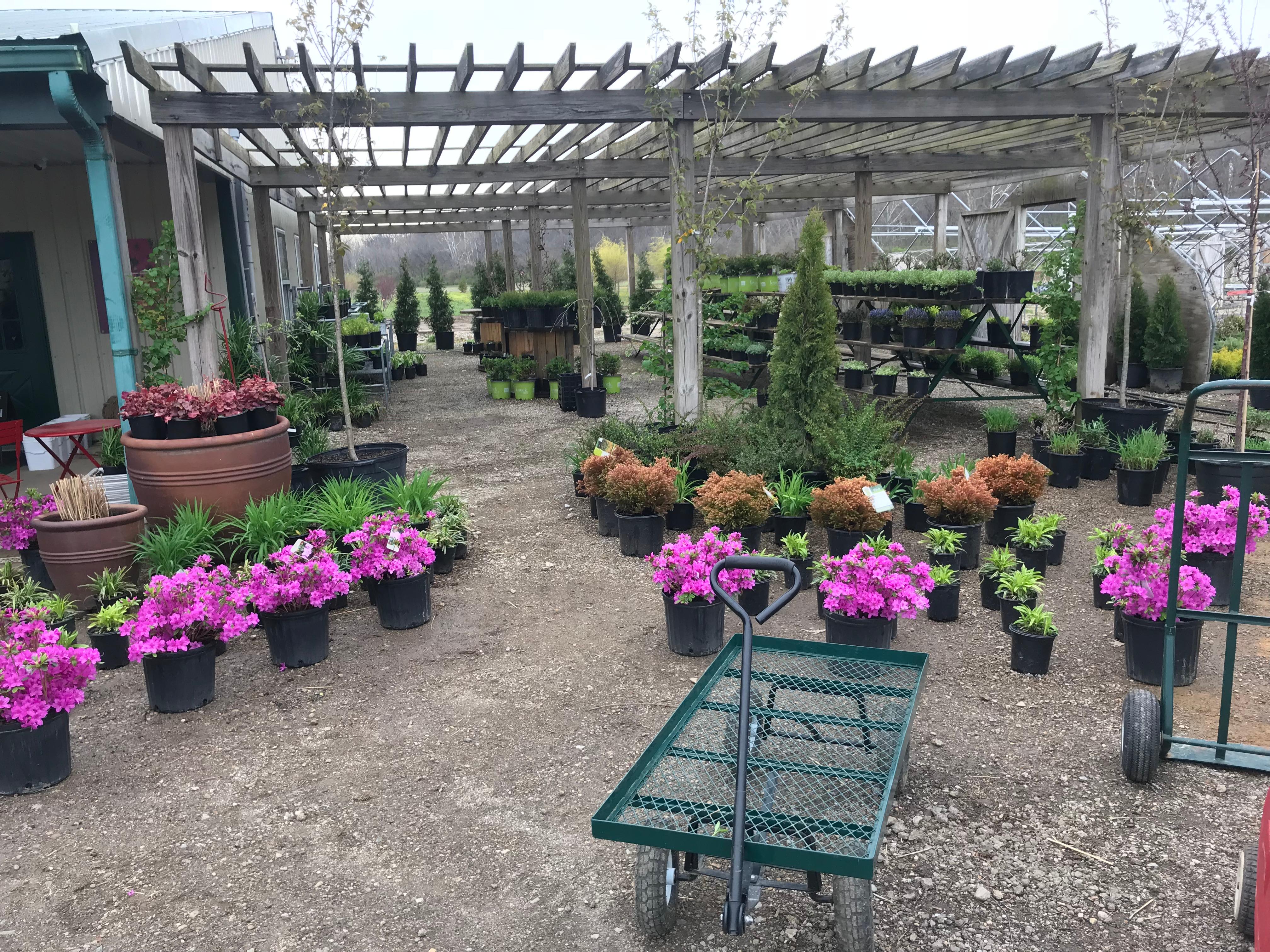 Liberty Heritage Nursery Farm Ltd. Photo