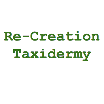 Re-Creation Taxidermy