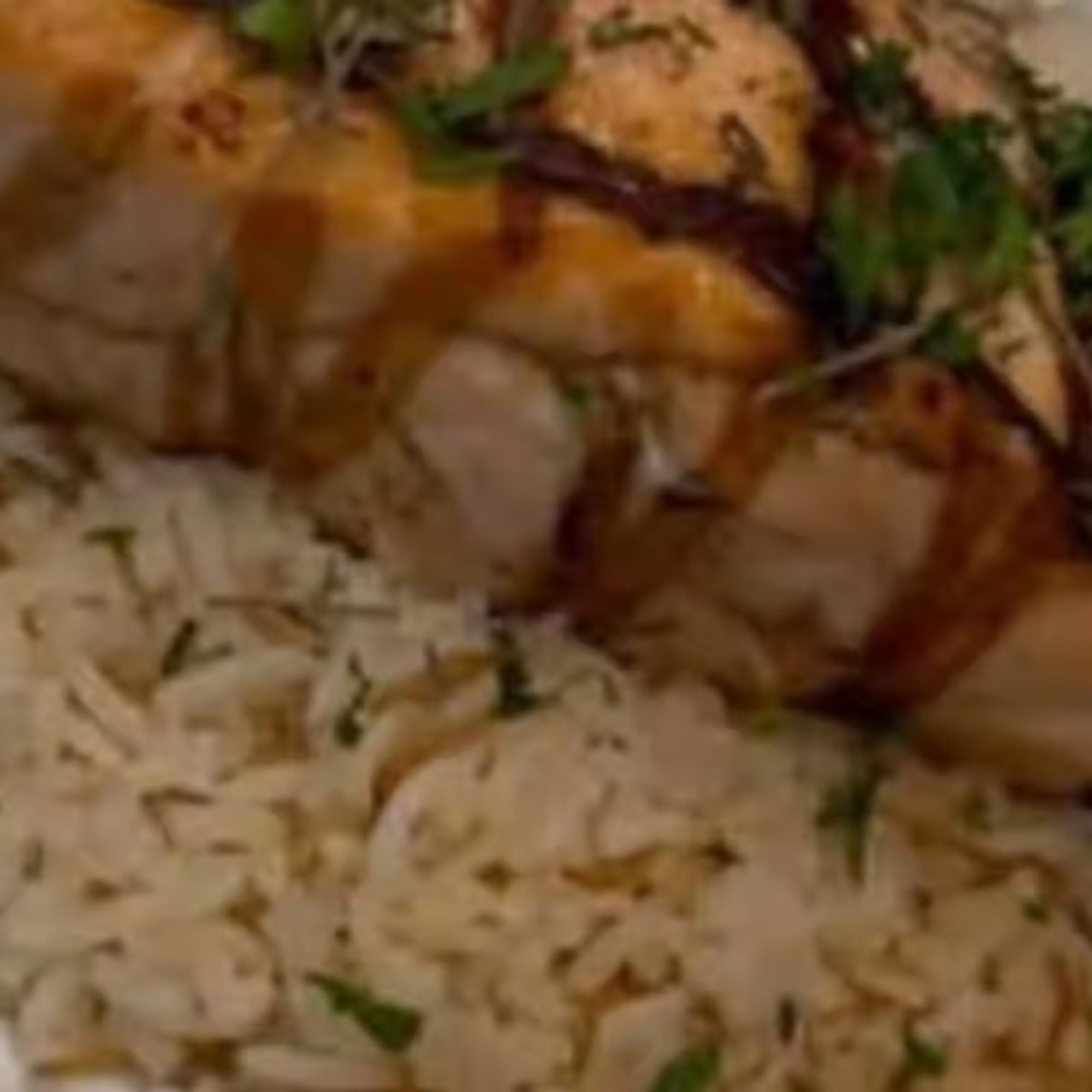 Salmon