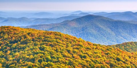 4 Can't-Miss Hikes in Northern Georgia