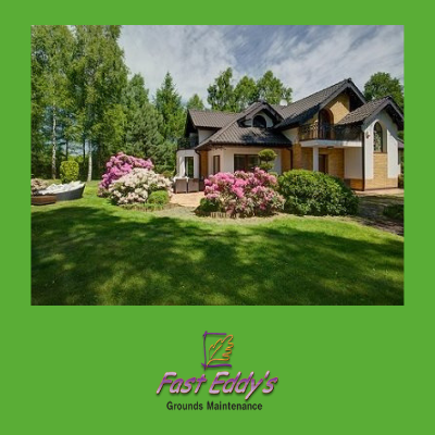 LAWN RENOVATIONS