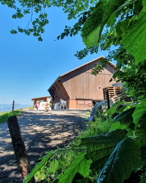 Natur pur