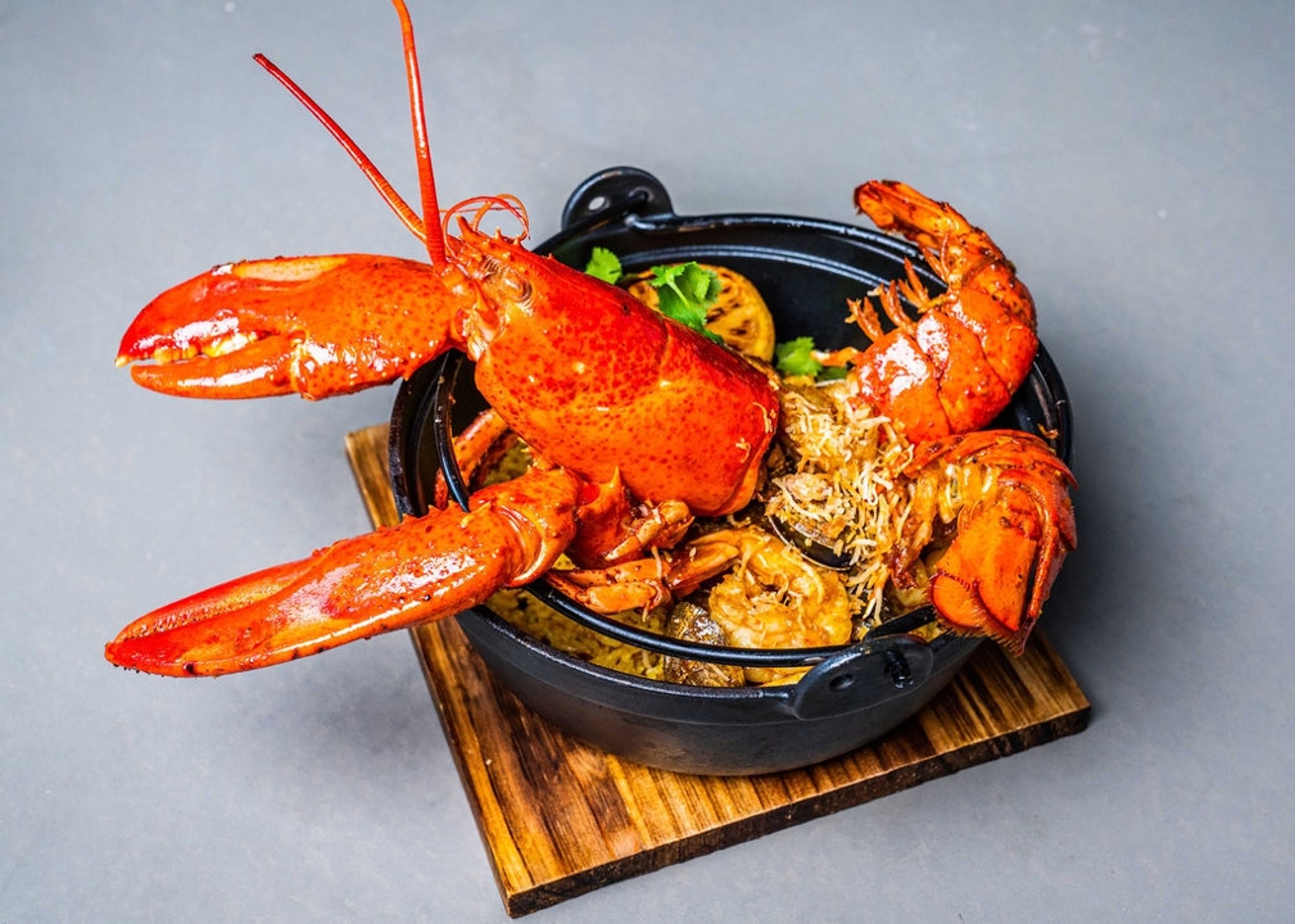 Tsunami Lobster