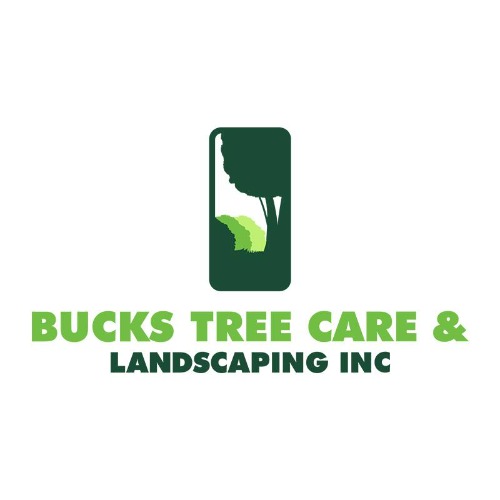 Bucks Tree Care & Landscaping inc