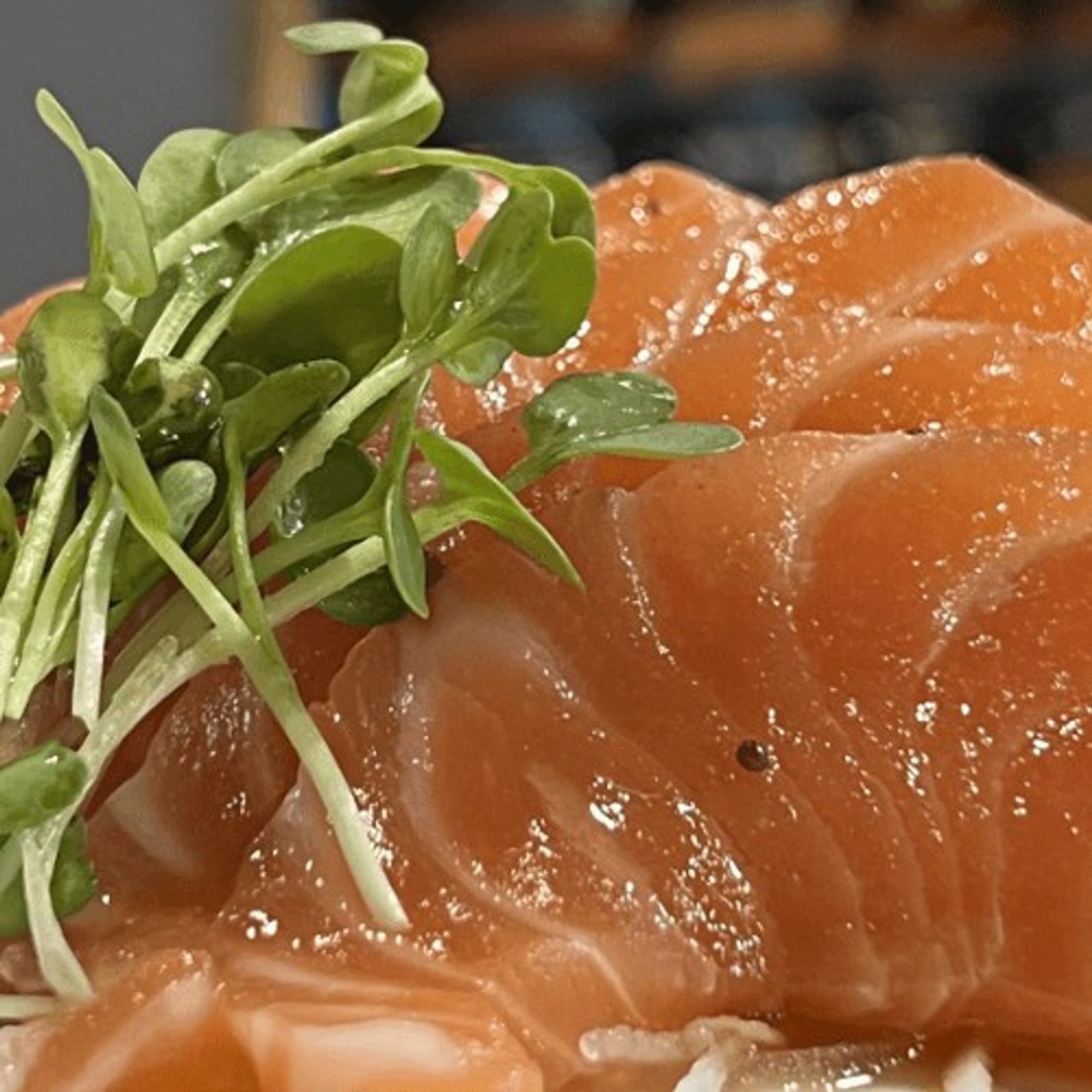 Salmon Carpaccio