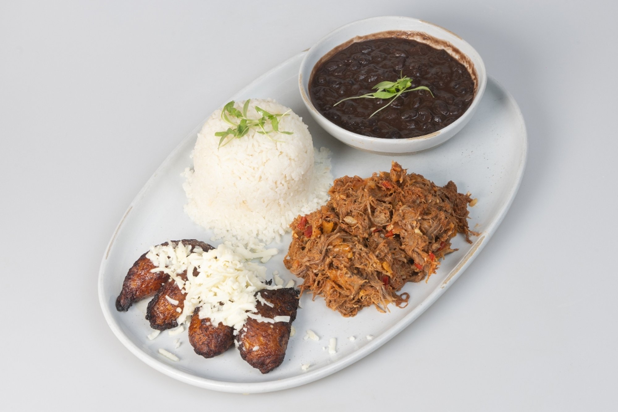 Pabellon Criollo Venezolano