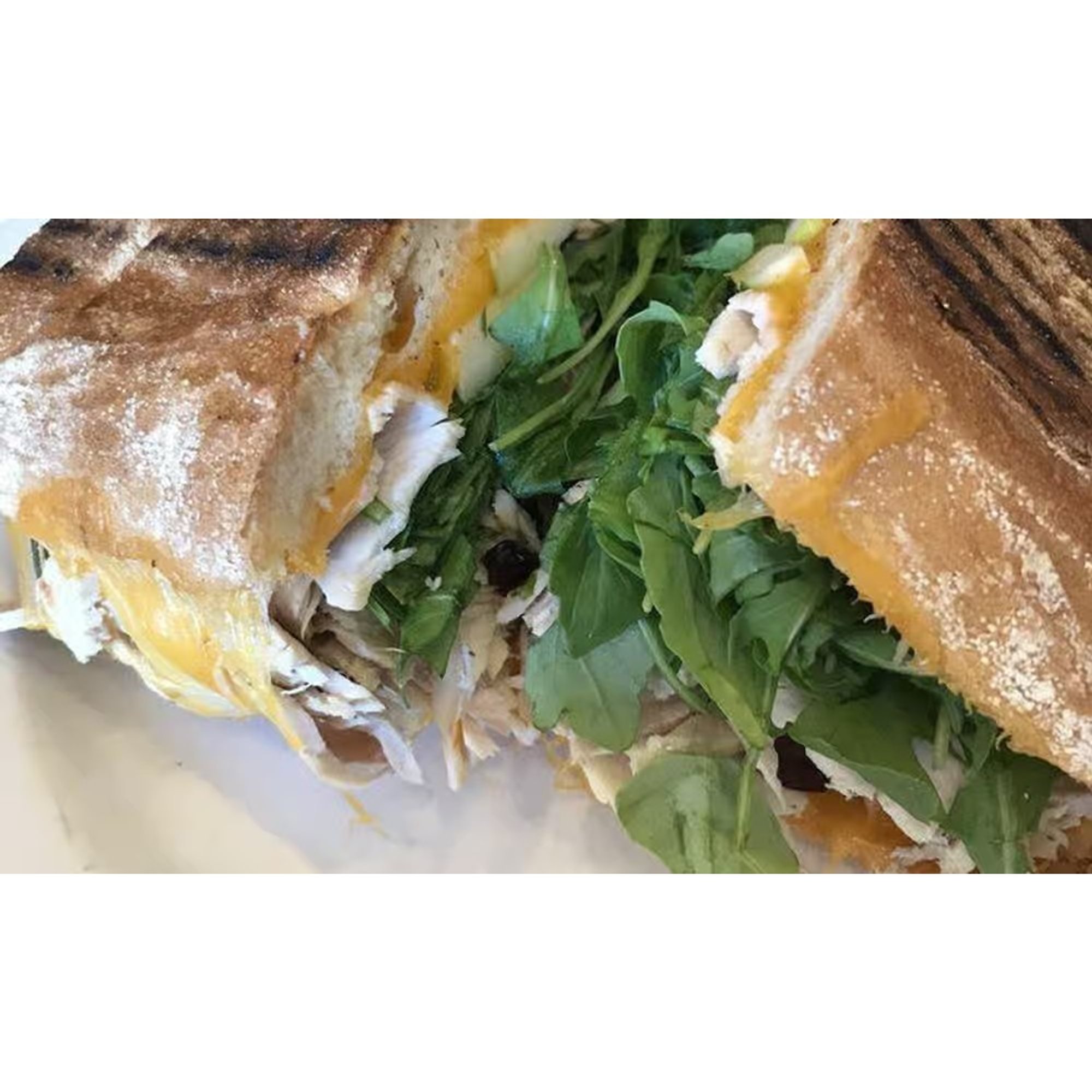 Big Bird Panini