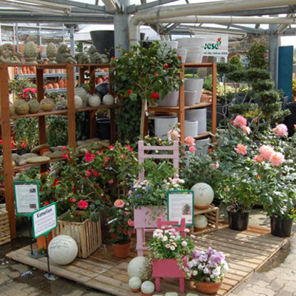 Blumen Weese, Gärtnerei, Ilmer Weg 30 in Winsen (Luhe)