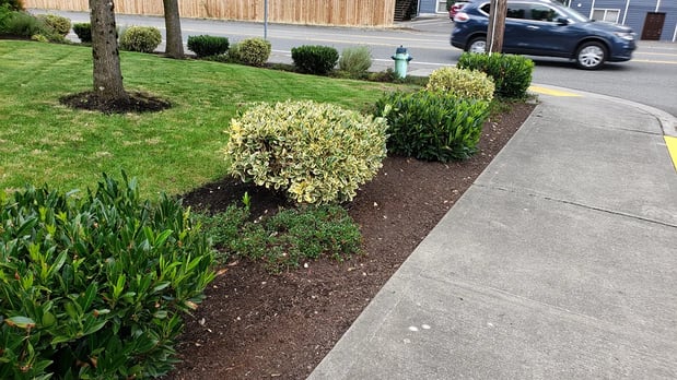 Images Real Landscaping