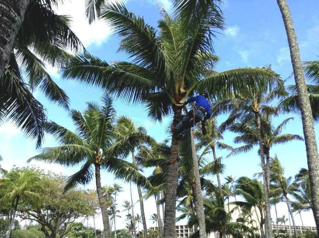 Landscape Hawaii, Inc. Image