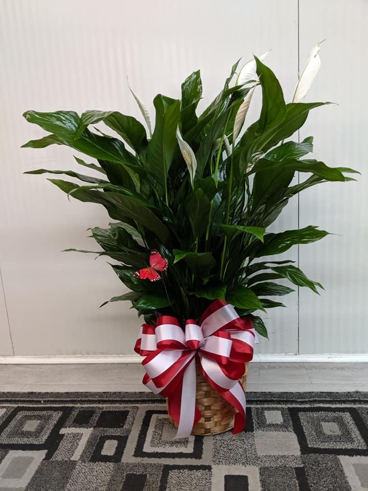 Owen's Florist Image