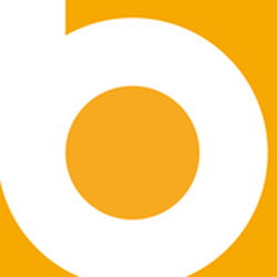 Bizzerd bv Logo