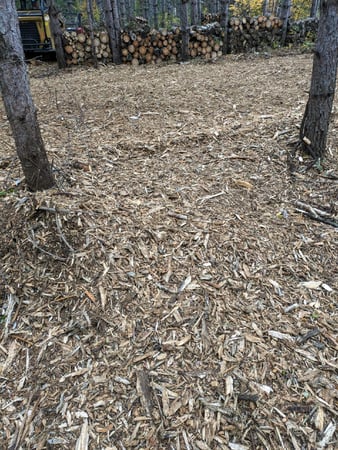 Images TK Land Management LLC