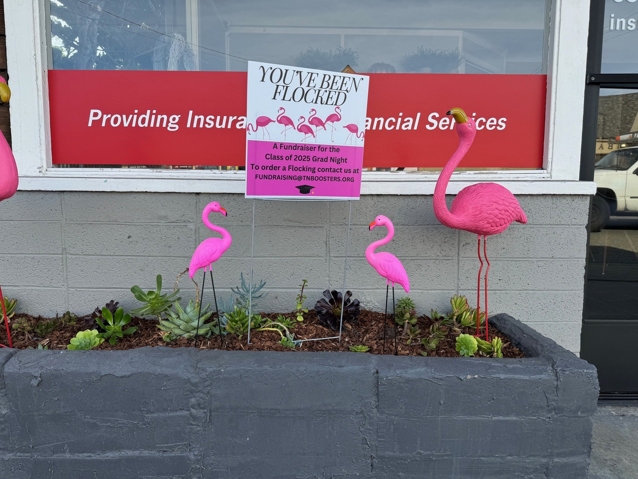 We've been FLOCKED! What an awesome thing to walk up and see today! This is such a cool fundraiser for the Terra Nova High School Senior Class. Visit fundraising@tnboosters.org and Flock your friends, too!