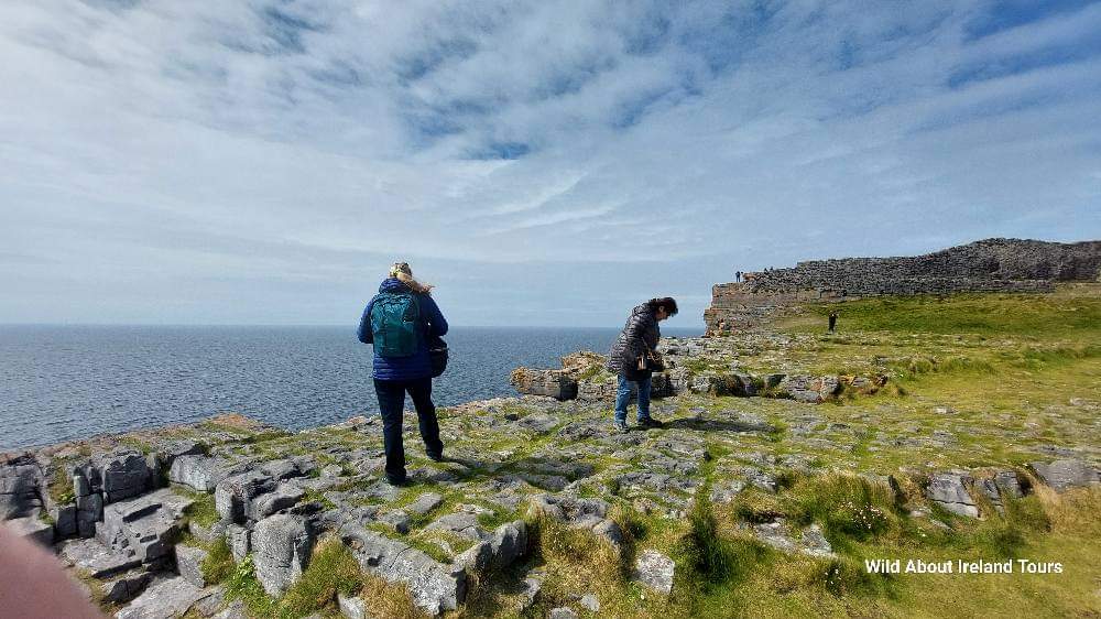 Wild About Ireland Tours 8