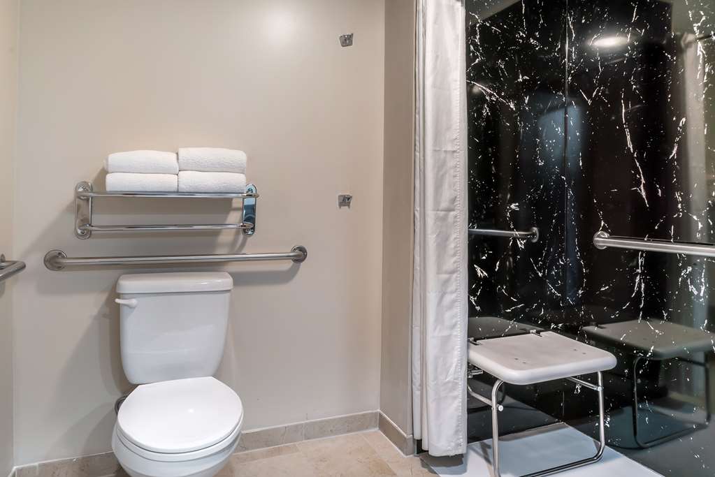 Guest Bathroom Accessible