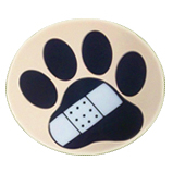 Gully Animal Hospital