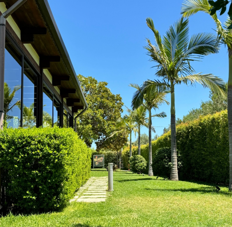 Images Wonderland Srl Milazzo