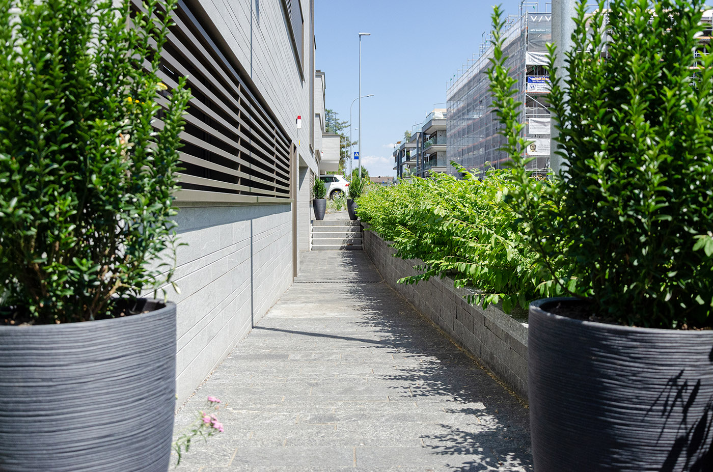 Bilder Grab Gartenbau AG