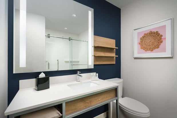 Images Hilton Garden Inn St. Pete Beach