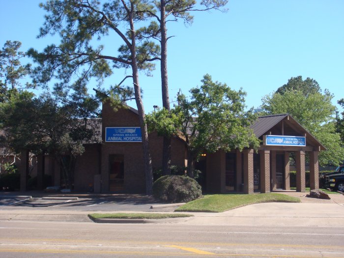 Image 5 | VCA Spring Branch Animal Hospital