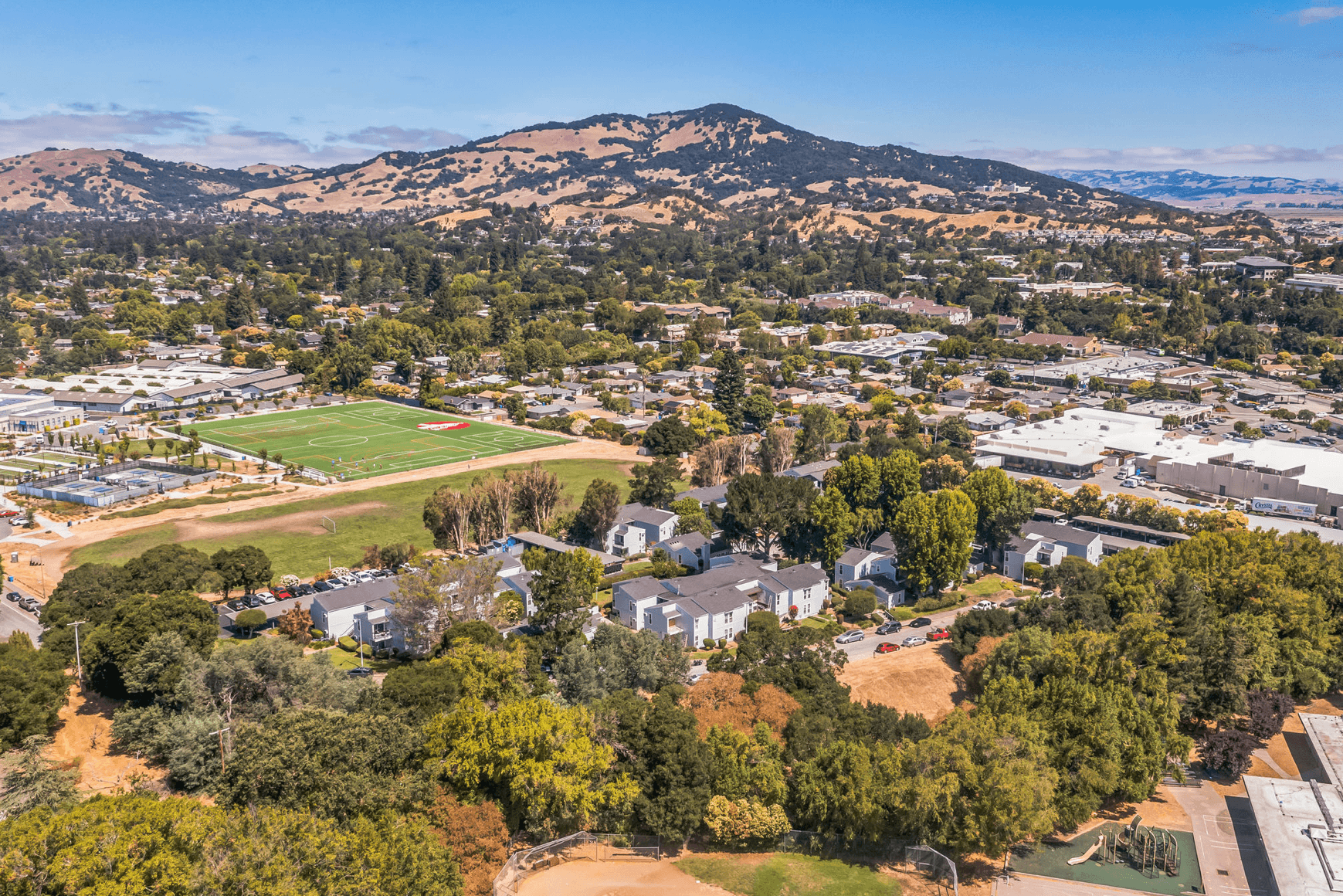 Drone Community View
