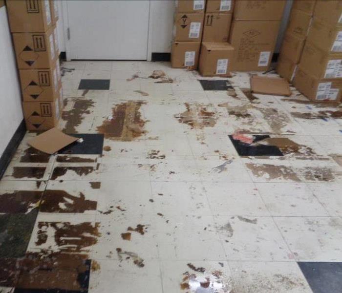Water Damage in Commercial Buildings