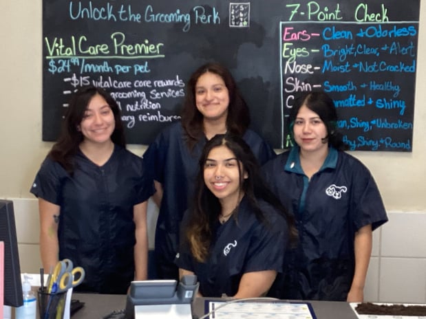 Images Petco Grooming