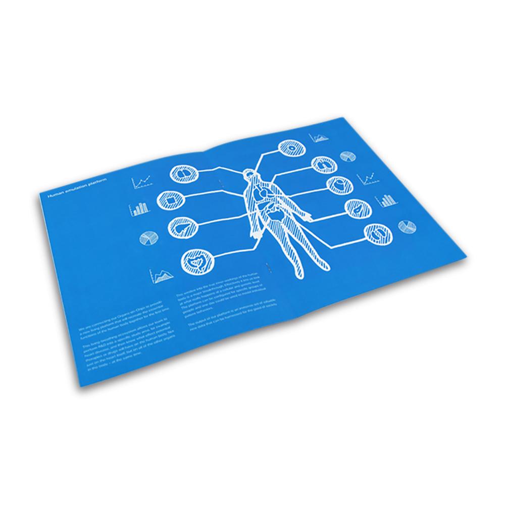 Printed brochure spread for Emulate. Offset printing by PLC Print.
