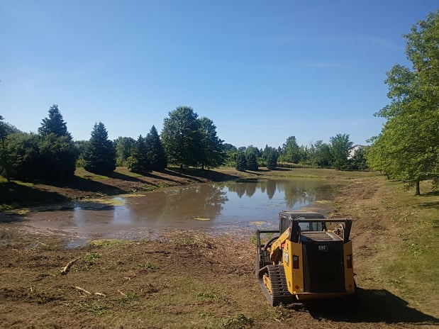 Images Monroe Tree and Land Clearing