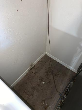 Images Tidy Upped Cleaning Services