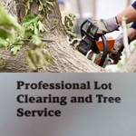 Professional Lot Clearing & Tree Service Logo