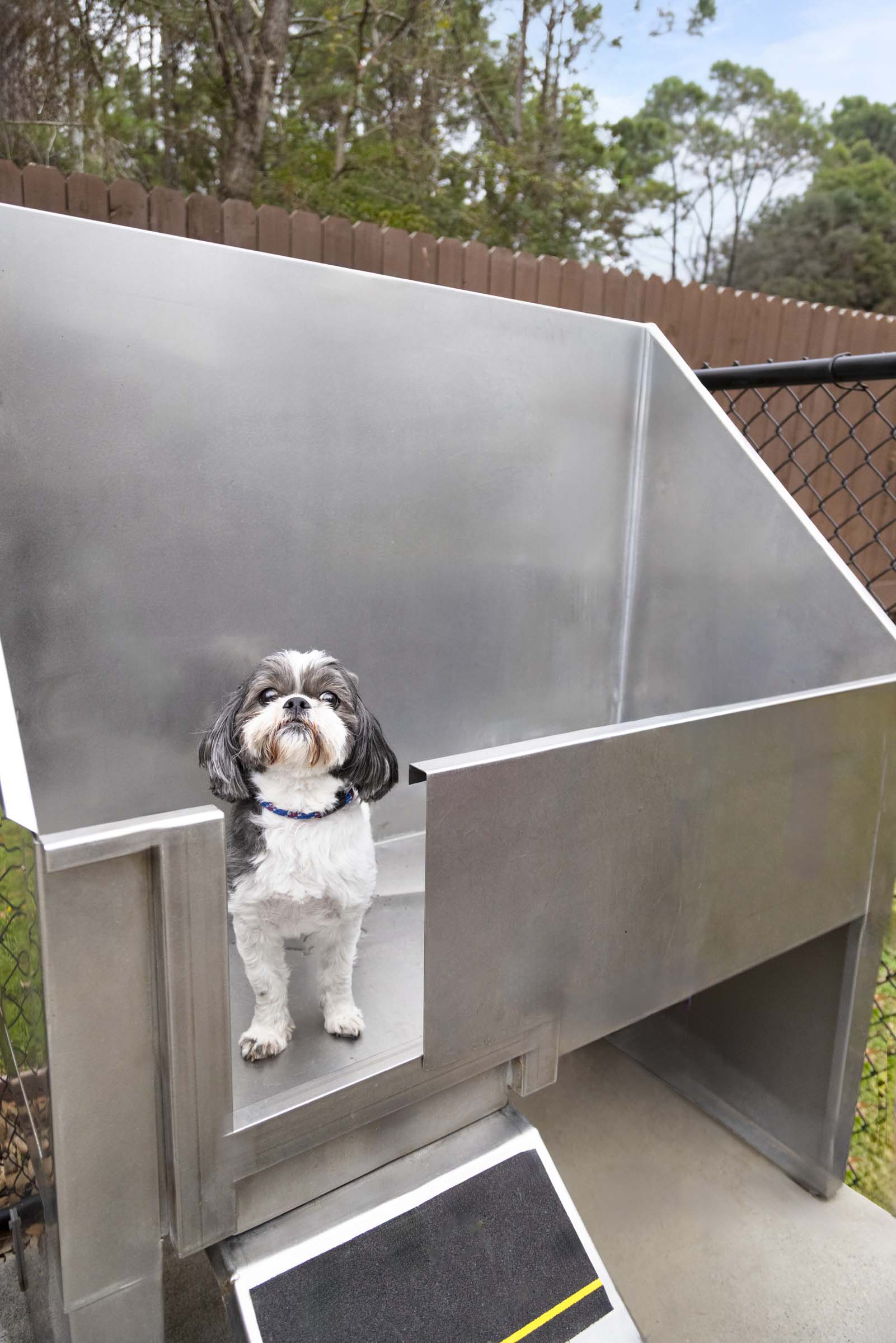 Camden Spring Creek Dog Wash