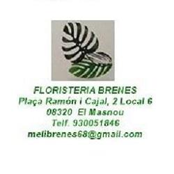 Floristeria Brenes Logo