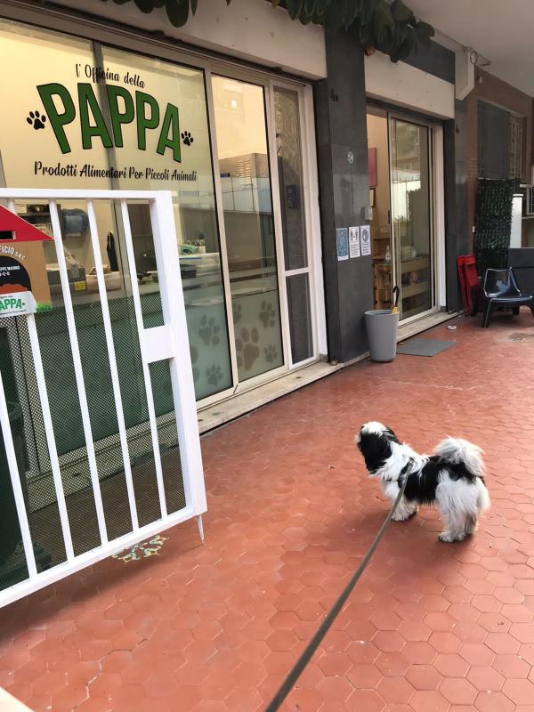 Images Officina della Pappa