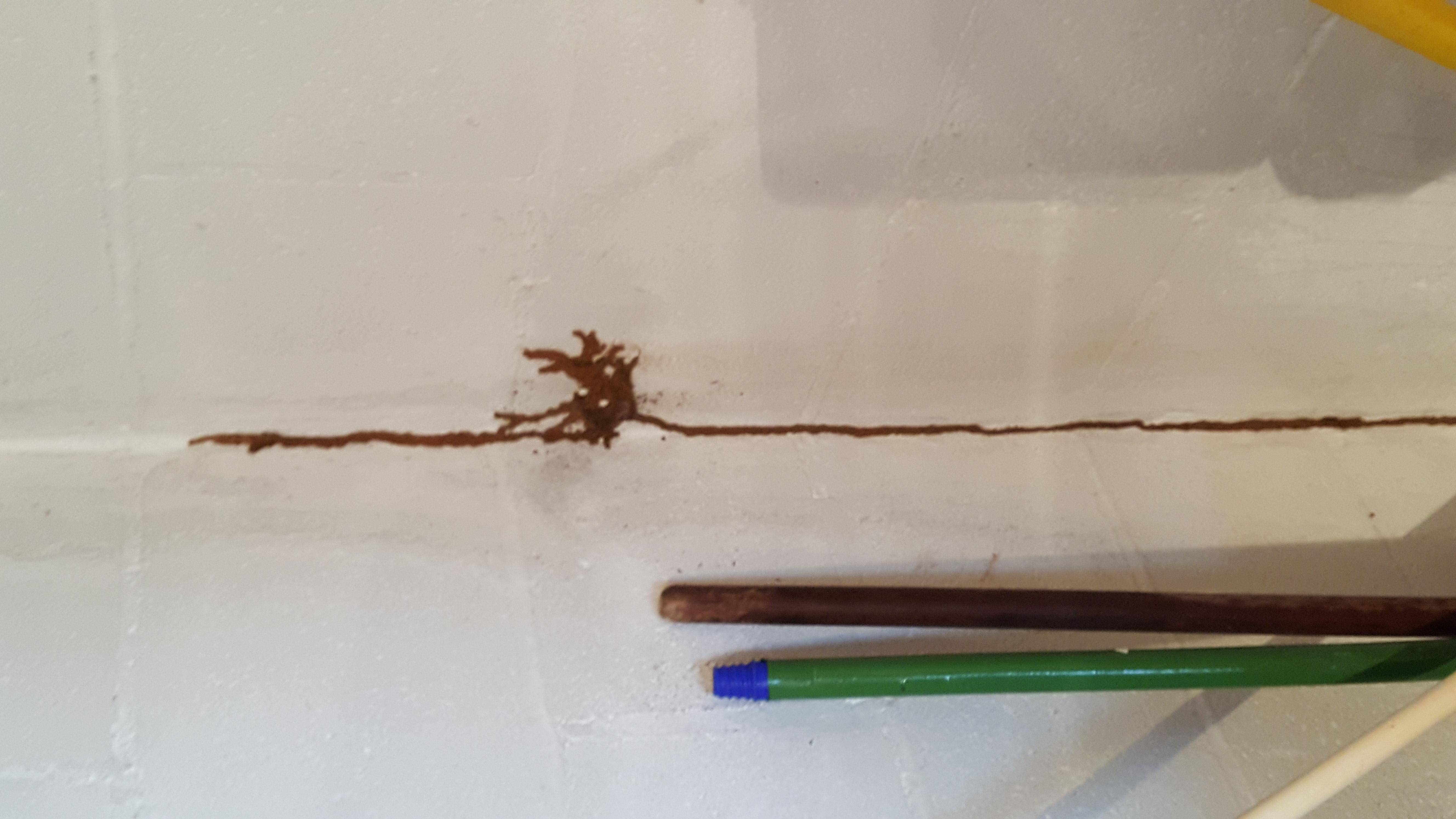 M & T Termite And Pest Control