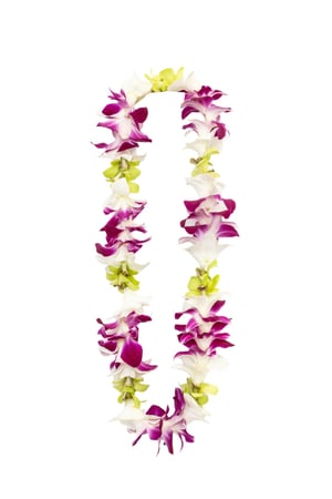 Images Hale O Na Lei