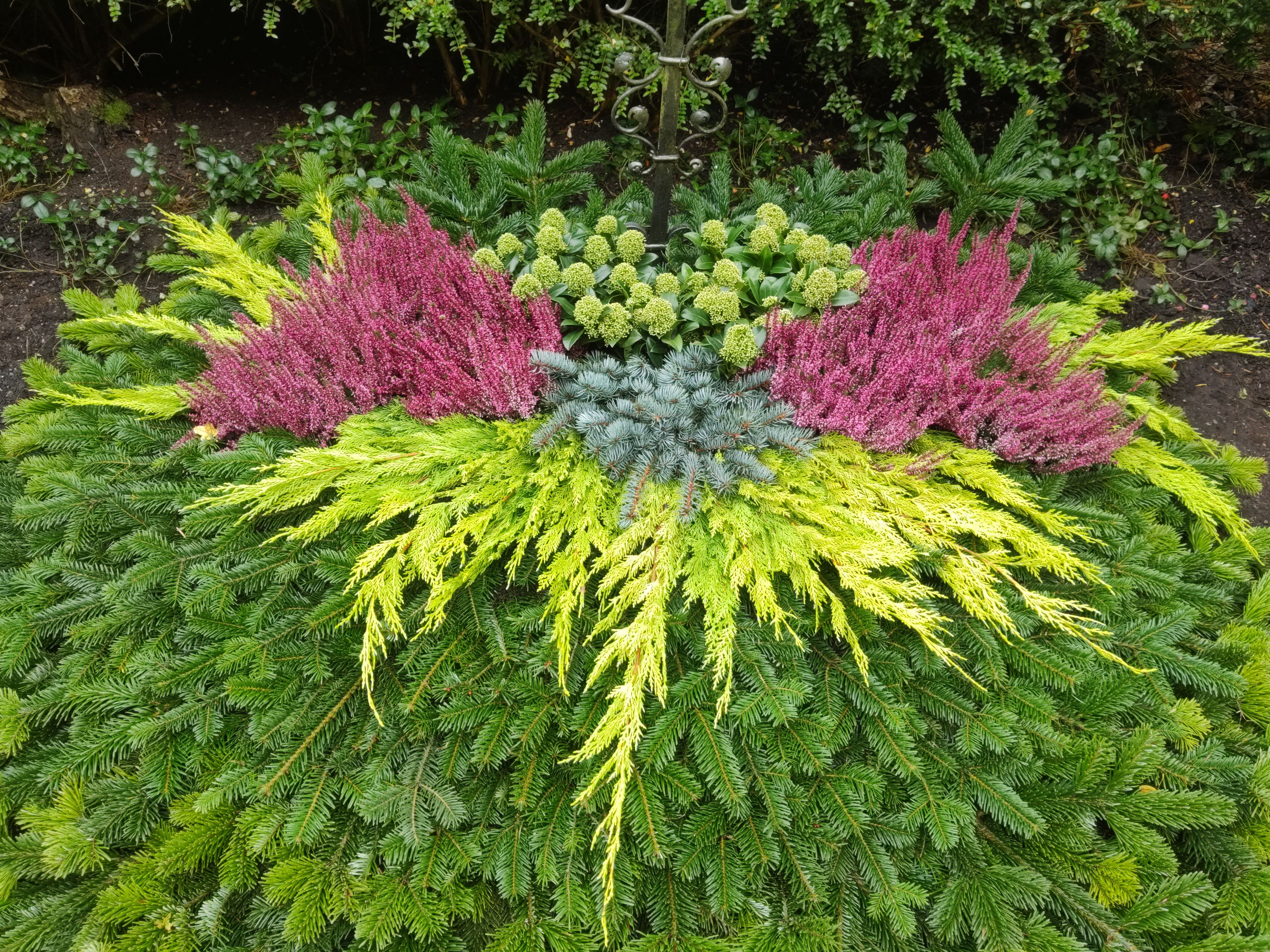 Bilder MM Gartenpflege GmbH