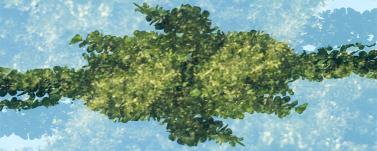 Images Edin Geoteknik AB