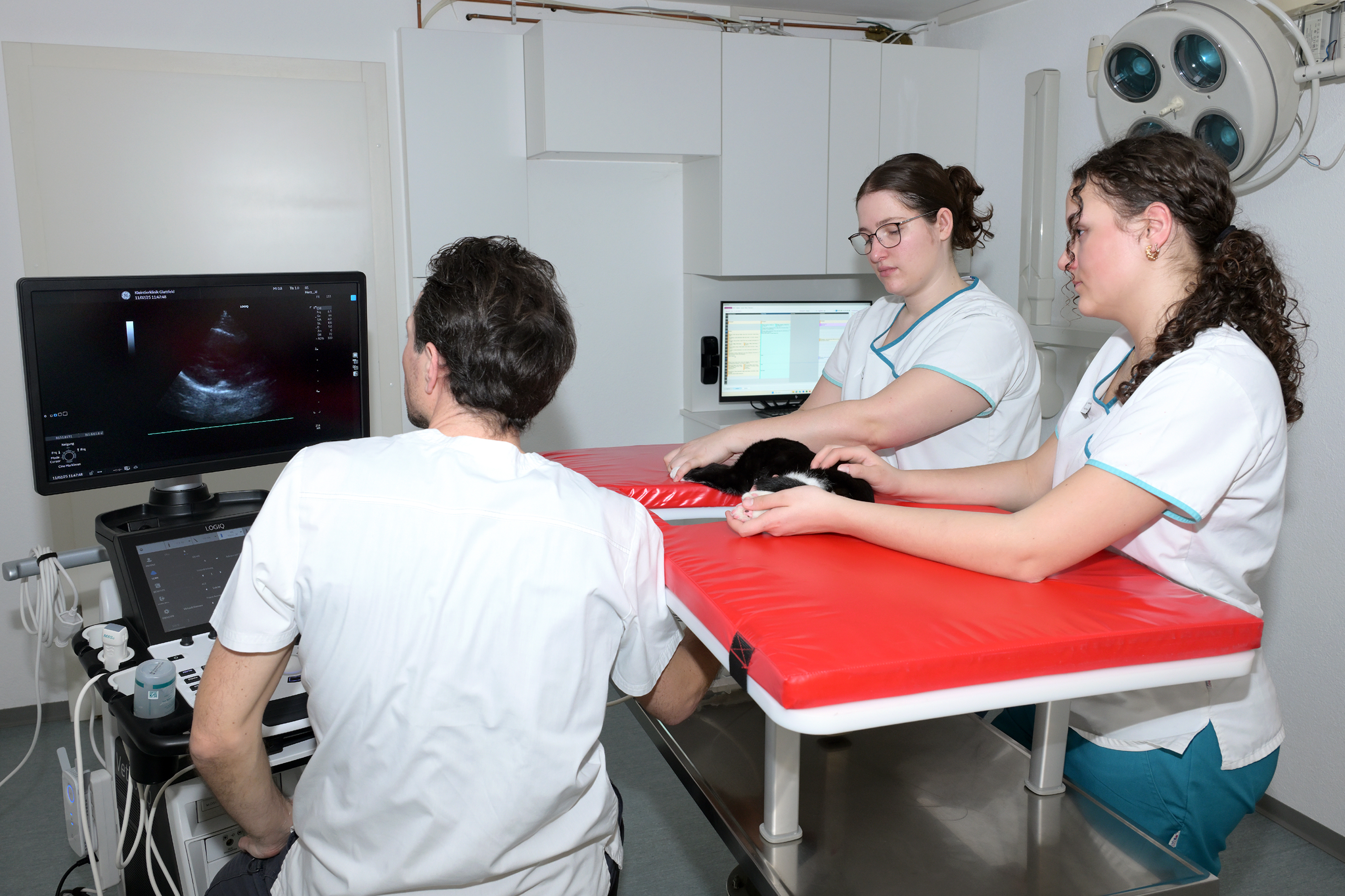 Bilder Kleintierklinik Glattfeld AG