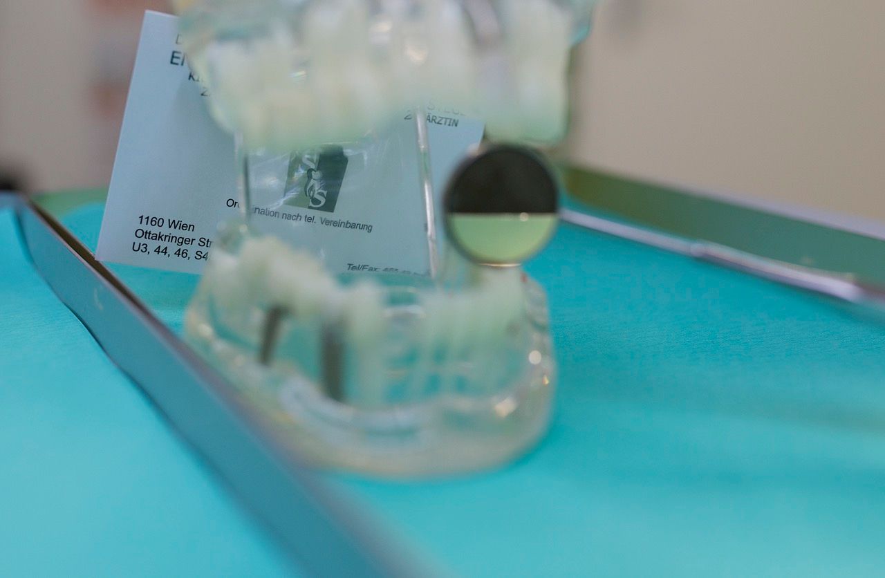 Bild 1 von DDr. Endre und Dr. Nora Steger