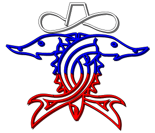 Grigory Vidishev CPA, CFE