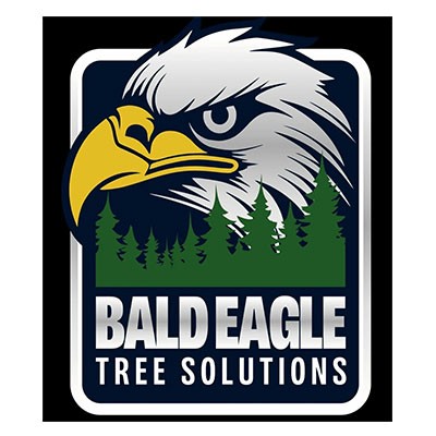 Bald Eagle Tree Solutions