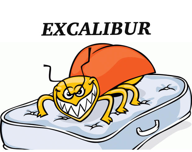 Images Excalibur Termite & Pest Control