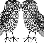 The Two Owls Logo