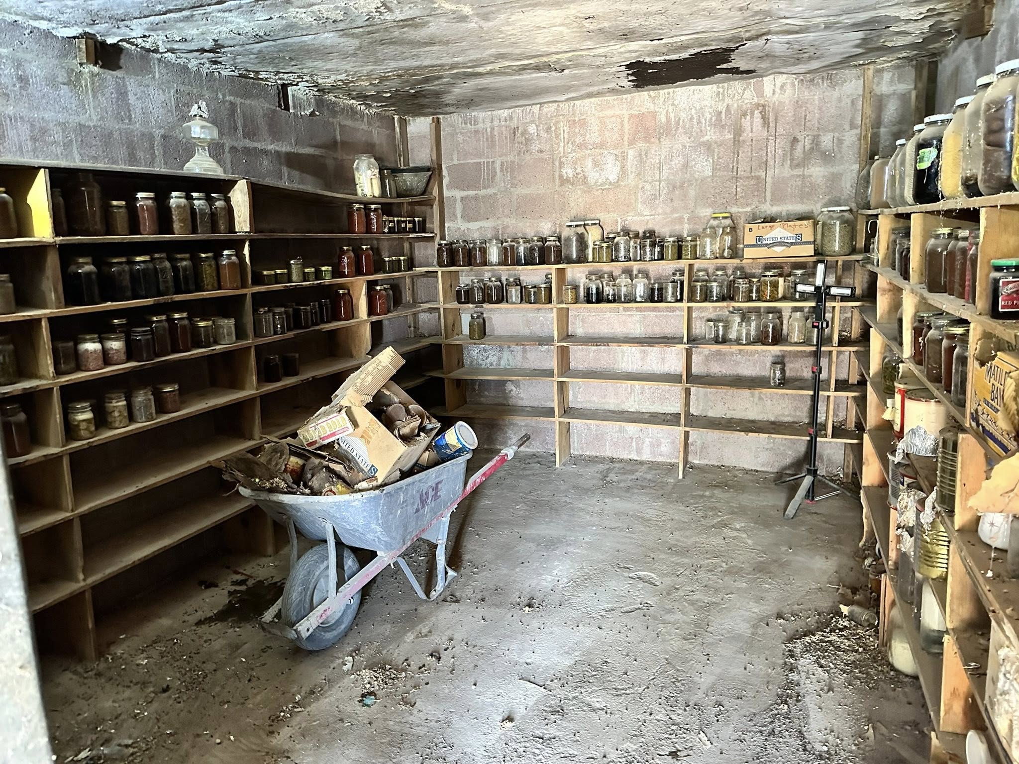 Gallery thumbnail