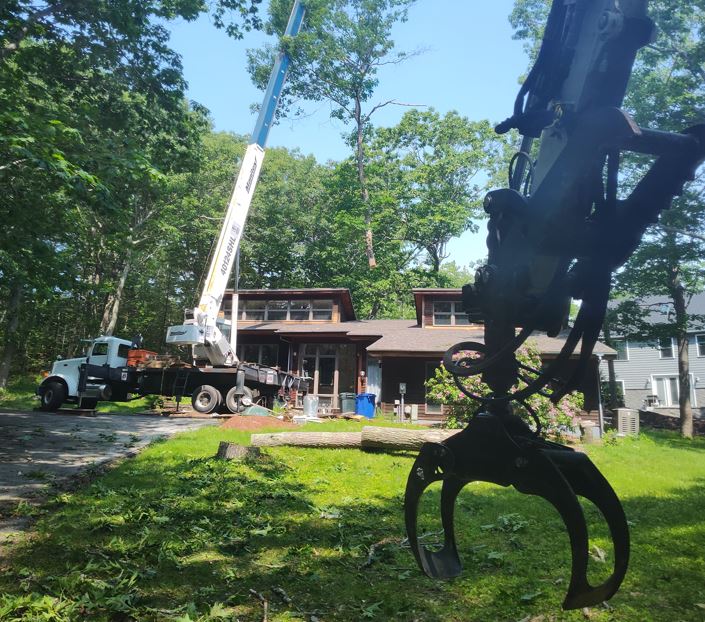 Crane tree removal saves time and is efficient.