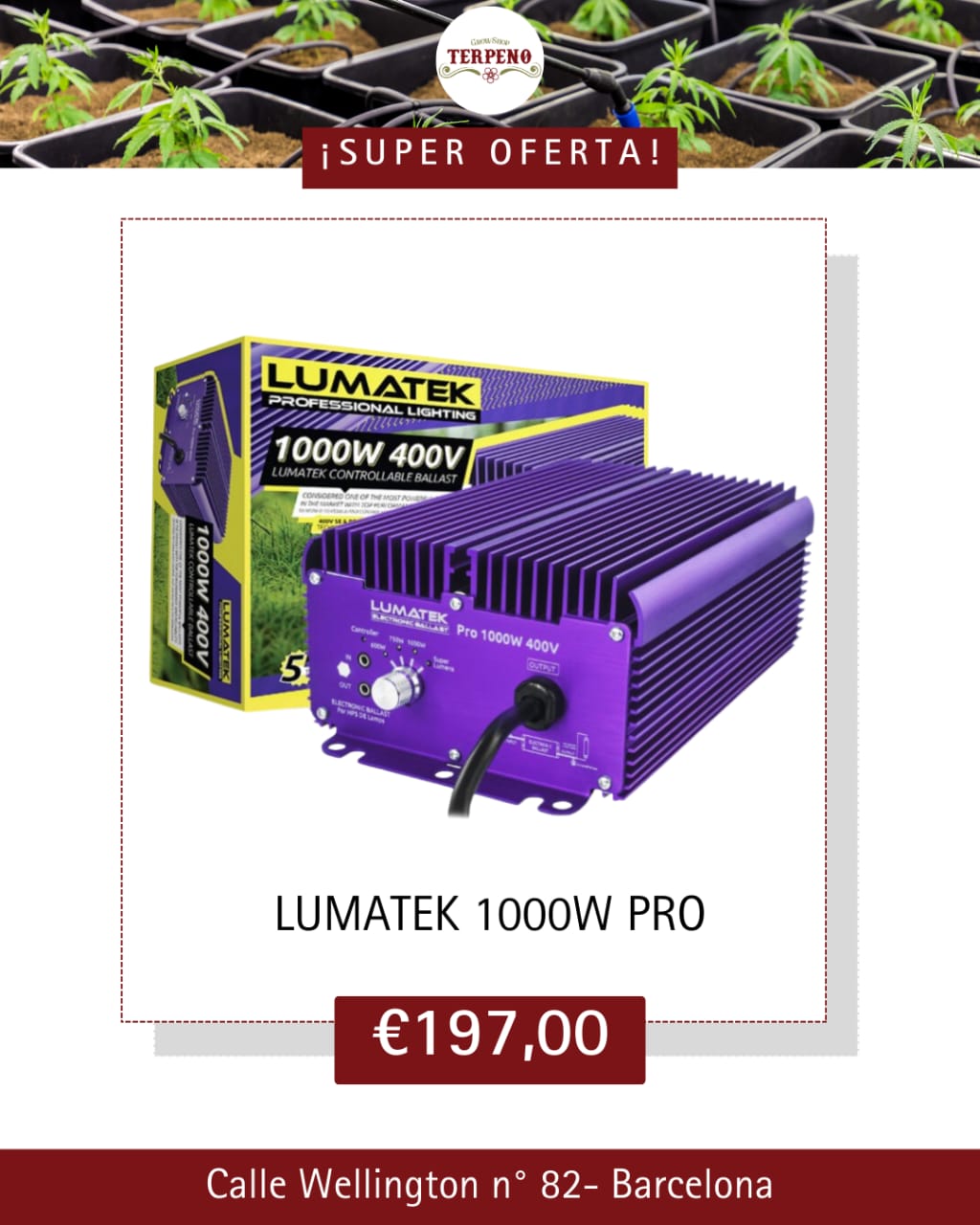 Images Grow Shop Terpeno